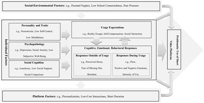 A multidimensional framework for understanding problematic use of short video platforms: the role of individual, social-environmental, and platform factors